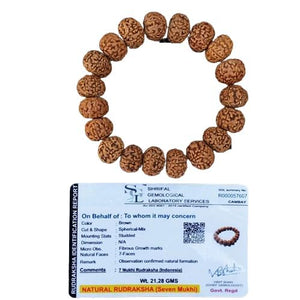 7 Mukhi Lab Certified Rudraksha Bracelet, Shiva Wrist Mala, Yoga Bracelet, Seven Faced Rudraksha, Gift For Yoga Lover