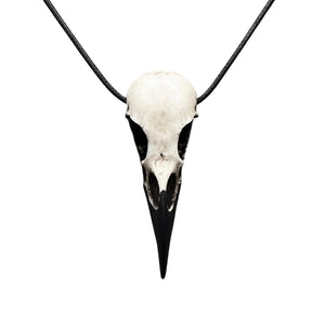 Bone Jewelry Gothic Raven Skull Necklace - Viking Resin Bird Skull Goth Gift