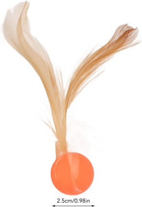 Mingwear Cat Toys For Indoor Cats Toys Feather Interactive Ball Kitten Balls