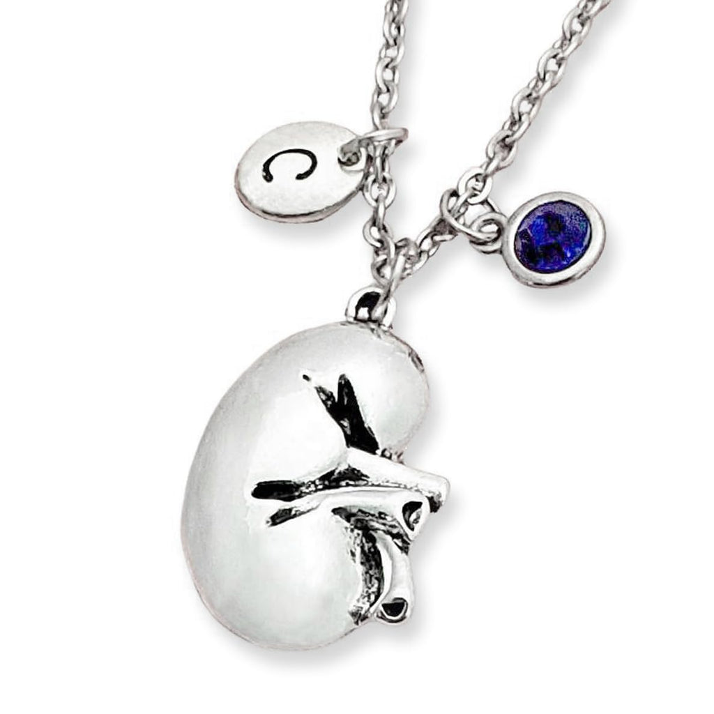 Human Kidney Necklace, Silver Anatomical Kidney, Personalized Initial, Birthstone