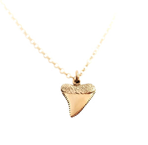 Bronze Shark Tooth Necklace – Handmade Surf Talisman, 14K Gold Filled Chain, Good Luck Jewelry