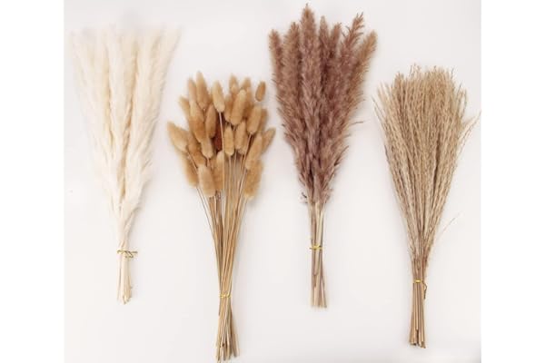Dried Pampas Grass Decor, 100 Stems Pampas Grass Contains Bunny Tails Dried Flowers, Reed Grass Bouquet for Wedding Boho Flowers Home Table Decor, Rustic Farmhouse Party (17", White and Brown)