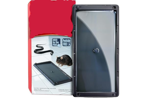 Catchmaster rat, mouse, and snake glue trap with packaging on a white background