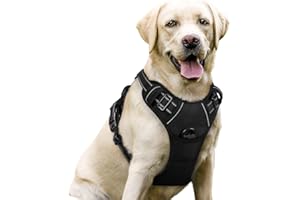 rabbitgoo Dog Harness No Pull with 2 Leash Clips, Adjustable Soft Padded, Reflective Oxford No Choke Pet Vest with Easy Control Handle for Large Dogs, Black, L