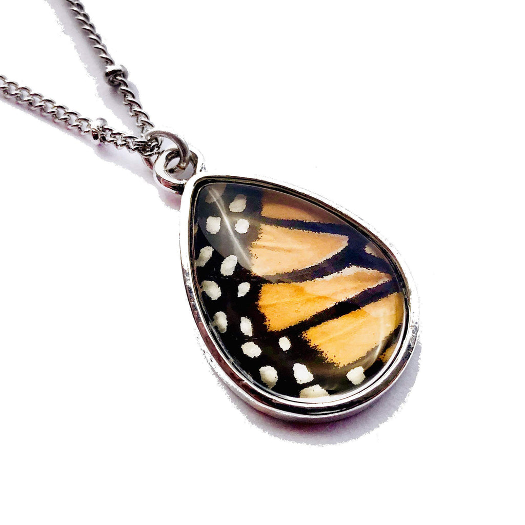 Chrysalis Studios Ethically sourced monarch butterfly necklace for women Real Butterfly wing jewelry Pressed flower jewelry Best friend necklace Recycled insect wing bw