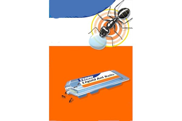 Terro Ant Killer Liquid Ant Baits packaging on a white background