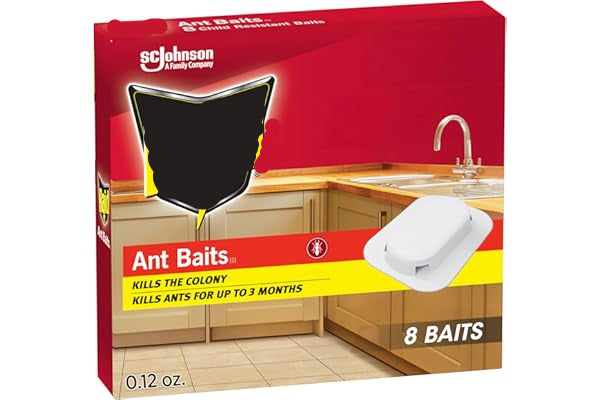 Raid ant bait packaging with a kitchen background