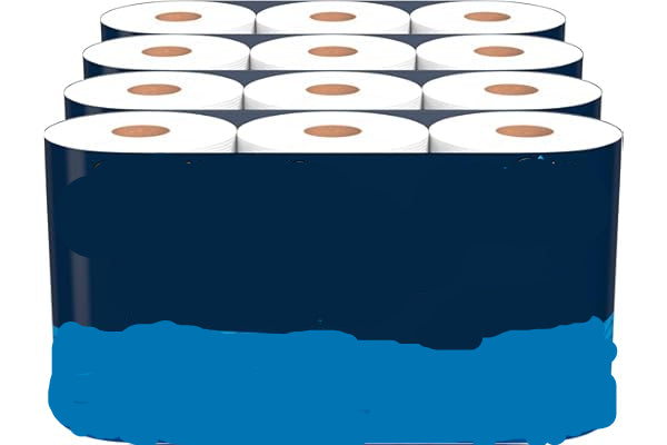 Cottonelle Ultra Clean toilet paper package with family mega size and multiple rolls.