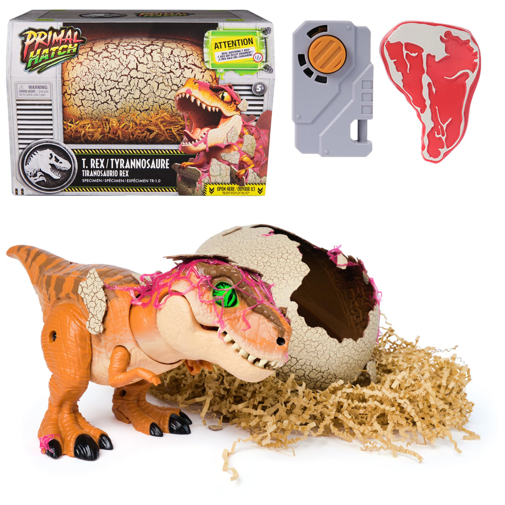 Jurassic World Interactive Toy Dinosaur & Egg, Hatch & Train Your own Baby Dino with 100+ Sounds & Reactions, Kids Toys for Boys & Girls Aged 5 & Up