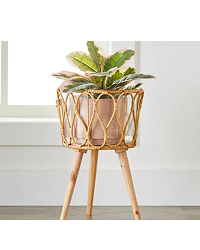 Better Homes And Gardens 12 In Dia Willow Sage Beige Planter