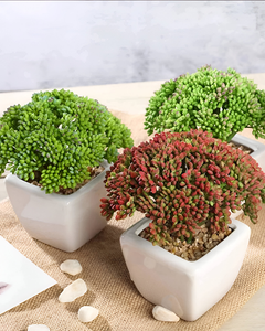 Efavormart Set Of 3 | 6� Assorted Autumn Joy Sedum Artificial Faux Succulent