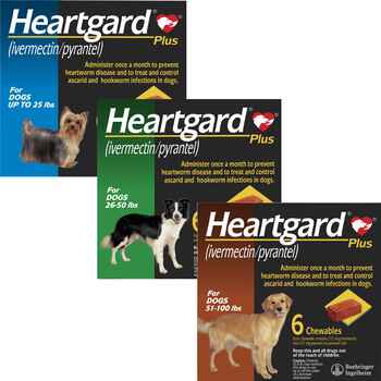 Heartgard Plus And Nexgard Chewables