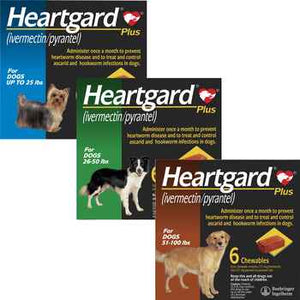 Heartgard Plus And Nexgard Chewables