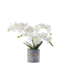 Longrv Artificial Fake Plants Orchid Potted