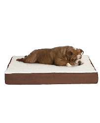 Orthopedic Dog Bed “ 2-Layer Memory Foam Dog Bed With Machine Washable Sherpa Cover