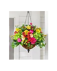 Outdoor Vivid Blooms Foliage