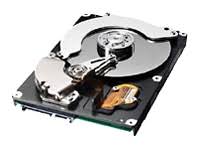 SP1654N - Samsung Spinpoint P80 160GB 7200RPM ATA-133 8MB Cache 3.5-inch Hard Drive